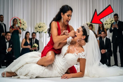 CUÑADA ABOFETEA A LA NOVIA EN LA BODA, PERO LA ACTITUD DE LA NOVIA IMPRESIONA A TODOS…