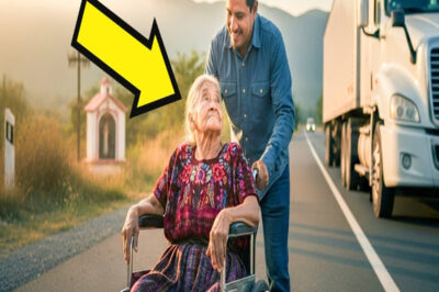 Una Anciana en Silla de Ruedas Me Rogó Llevarla a Oaxaca—Su Última Voluntad Me Destrozó