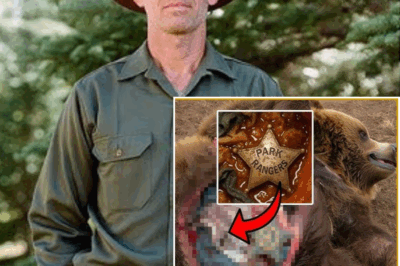 Guardabosques desaparece en la Sierra Tarahumara: 26 años después, su placa aparece en un jaguar