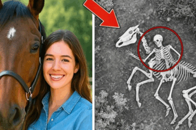 El misterio de la joven desaparecida entrenando su caballo en Guadalajara: Dos años después, un piloto descubre lo impensable