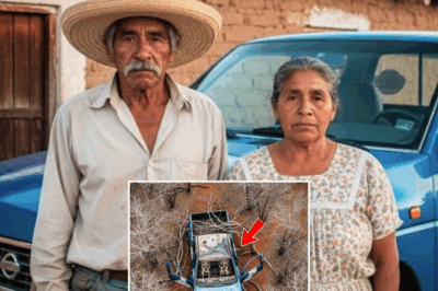 Misteriosa desaparición de pareja campesina en Michoacán: 2 millones de pesos y un secreto revelado tras 11 años