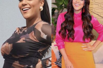 ¿ te despidieron de Univision después de dar a Luz? Así fue la respuesta de Francisca Lachapel