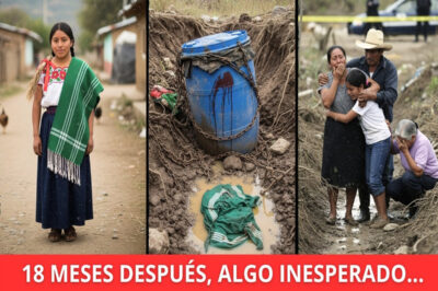 Campesina de Oaxaca desaparece en Hierve el Agua en 2007 — 18 meses después, algo inesperado surge..