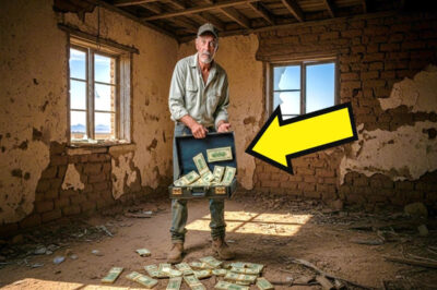 Camionero Pobre Encontró $1M en Casa Abandonada en Nuevo México—No Imaginaba Lo Que Pasaría Después