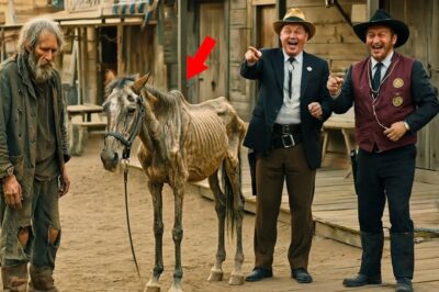UN MILLONARIO LE DIO UN CABALLO INÚTIL A UN VAGABUNDO COMO BROMA, PERO ARREPINTIÉNDOSE AMARGAMENTE