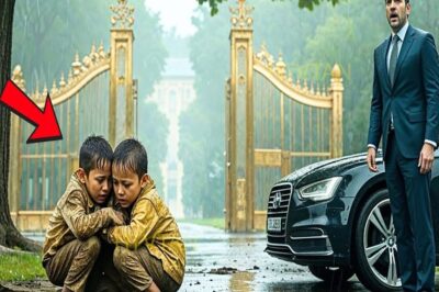 Llegó A Casa Sin Avisar Y Vio A Sus Gemelos Judíos Abandonados Por La Nueva Esposa Bajo La Lluvia…
