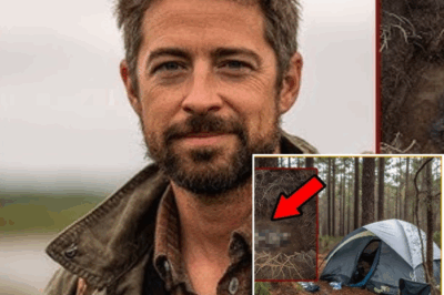 Turista desaparece en Luisiana: ocho años después, un hallazgo macabro en una turbera