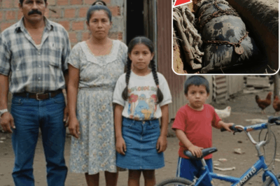 Familia de Nueva Quechula en Chiapas desaparece en 1998 — 6 años después, algo enterrado aparece…