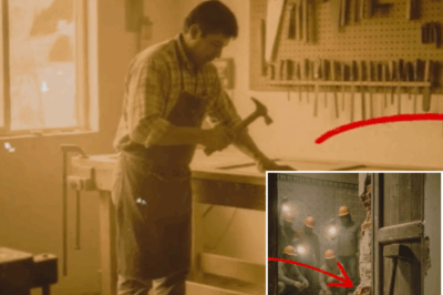 “El Martillo Misterioso: El Enigma de un Carpintero Desaparecido Durante 32 Años”