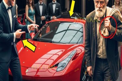 “¡TE DOY MI FERRARI SI LO ENCIENDES!” EL MILLONARIO HUMILLÓ AL VIEJO HAMBRIENTO Y EL FINAL LOS CALLÓ…