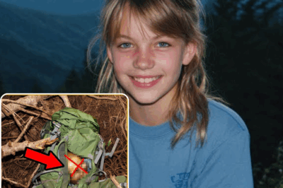 Niña desaparecida en las Montañas Smoky: Cuatro años después, hallazgo aterrador en una mochila vieja bajo un árbol
