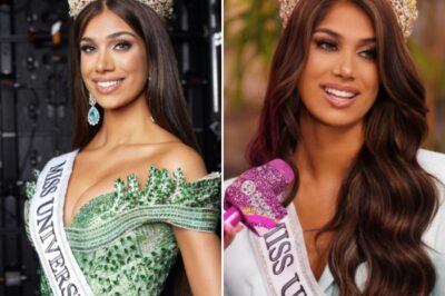 Lina Luaces, la flamante Miss Universe Cuba 2025, acepta el desafío en El Lanza Ganchos y deja a todos sin palabras: ¿Cómo logró combinar elegancia y precisión bajo presión, qué obstáculos enfrentó durante la competencia y por qué el resultado final sorprendió incluso a los jueces? Descubre los momentos más impactantes de esta prueba inolvidable.