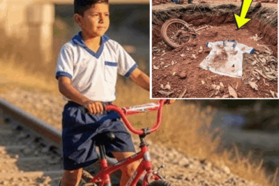 “El Misterio del Niño Desaparecido en 1996: Un Hallazgo Sorprendente Bajo el Viejo Puente”