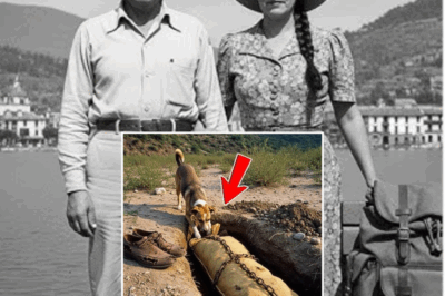 Pareja desaparecida en Guanajuato en 1944: 50 años después, un perro desentierra el horror