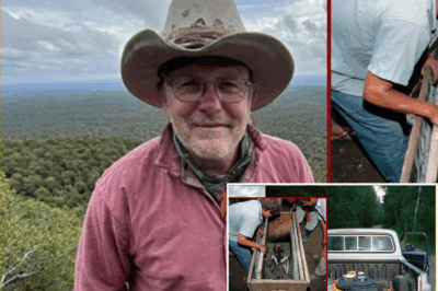 Turista desaparecido en los pantanos de Texas: hallan esqueleto dentro de caja de abejas cementada
