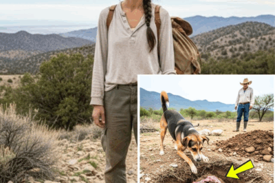 “El Misterio del Senderista Desaparecido en la Sierra Madre: Un Hallazgo Impactante Tras 11 Años”