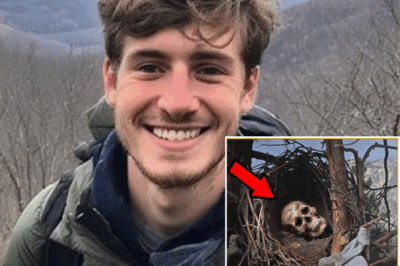 Turista desaparecido en los Apalaches: cinco años después, hallan su cráneo en un nido de cuervos