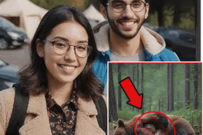 Tourist Couple Vanished in Yellowstone in 2016 — in 2024 Remains Found Inside Old Bear…