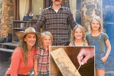 Off-Grid Family Vanished in 1996, Maggots at Old Cabin Reveal the Truth 10 Years Later…