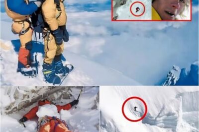 Imágenes de un dron revelan la controvertida decisión del equipo de escalada en el pico de 24.000 pies, lo que desató indignación por las acusaciones de que permitieron la мυerte de un compañero.