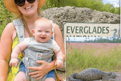 Single Mom Vanished in Everglades, 1 Year Later a Python Is Found With a Strange Bulge…