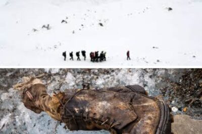La tumba helada del Everest finalmente ha sido revelada: inquietantes fotografías capturan los momentos finales de la familia Yamamoto durante una tormenta en 1988. Estas desgarradoras imágenes muestran la lucha desesperada de la familia contra el frío glacial y los vientos feroces, proporcionando una visión conmovedora de uno de los períodos más trágicos en la historia del montañismo.