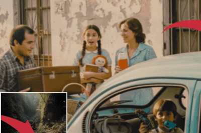 Cuatro décadas de misterio: Familia desaparecida y un secreto imposible en la Carretera del Sol