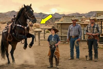 MILLONARIO APOSTÓ QUE NADIE DOMARÍA SU CABALLO — HASTA QUE UN NIÑO DE LA CALLE SORPRENDIÓ A TODOS….