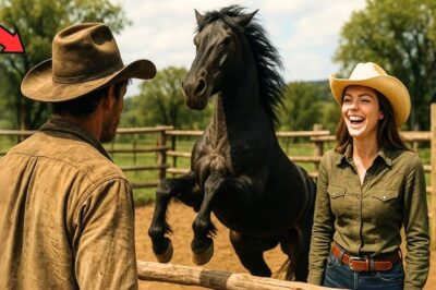 “SI LOGRAS DOMAR ESE CABALLO, ME CASO CONTIGO”… ELLA SE RIÓ, PERO ÉL HIZO LO IMPENSABLE….
