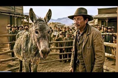 Nadie quería comprar al burro viejo… hasta que hizo millonario a su nuevo dueño….