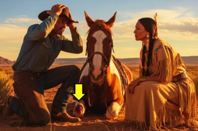 Cowboy llora al ver a su caballo mordido por una serpiente, hasta que una nativa dice: tengo la cura