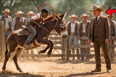 Apostó 1 Millón De Dólares A Que Nadie Domaba Su Caballo – Hasta Que Un Niño Lo Dejó Sin Palabras….