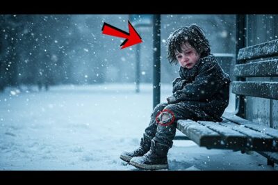 Tenía solo 5 años… lloraba congelado en una parada vacía… y gritaba que su mamá volvería por él