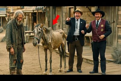 UN MILLONARIO LE DIO UN CABALLO INÚTIL A UN VAGABUNDO COMO BROMA, PERO ARREPINTIÉNDOSE AMARGAMENTE