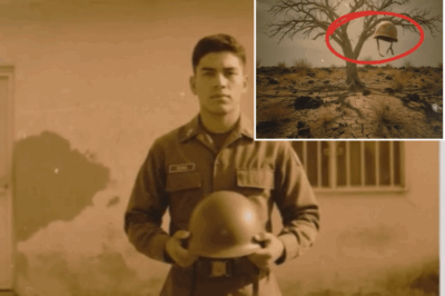 Treinta y cinco años de desaparición: El enigma del casco militar colgado en un árbol seco de Monterrey