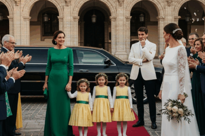 Él invitó a su pobre exesposa con la intención de humillarla en su boda, pero ella llegó en una limusina junto a sus trillizas..