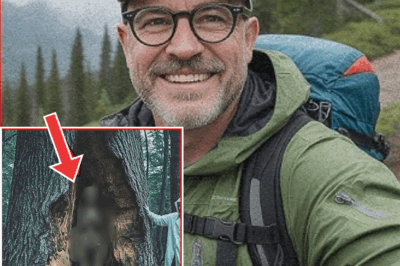 Tourist Vanished in Redwood National Park — His Bones Found 5 Meters Deep Inside Hollow Tree…