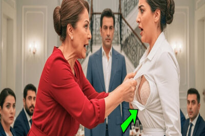 LA MUJER ARROGANTE LO CONFUNDIÓ CON UNA CAMARERA Y LE RASGÓ LA CAMISA. PERO SU MARIDO MILLONARIO LO ESTABA VIENDO TODO