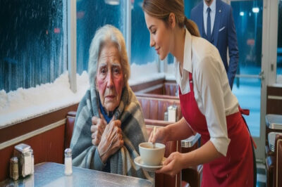 Ella cobija a una anciana durante una tormenta de nieve; al día siguiente, aparece un millonario y lo cambia todo.