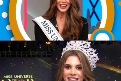 Carlos Adyan y Telemundo le hacen tentativa propuesta a Yamilex Hernandez