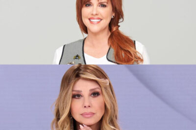 “¿Se repite la historia? Telemundo habría despedido a Myrka Dellanos por sueldo impagable”