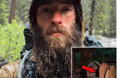 Turista desaparece en los bosques de Oregón; un año después, su destino se revela en una trituradora de aserradero