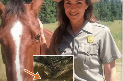 Misterio aterrador en Yosemite: Guardabosques desaparece y solo hallan los restos de su caballo