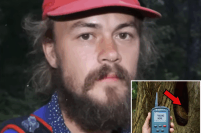 Turista desaparece misteriosamente en las Montañas Smoky: Seis años después, hallazgo impactante dentro de un árbol hueco