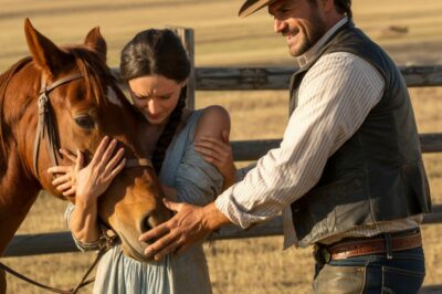 A Un vaquero dio su único caballo a una apache herida; al día siguiente, 70 guerreros lo impensable…