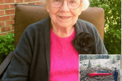 Misteriosa desaparición: Maestra jubilada de Ohio se esfuma y hallan su auto en un bosque cercano