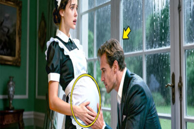 “¿TE ABANDONÓ EMBARAZADA?” PREGUNTÓ EL MILLONARIO… SU PROPUESTA SIGUIENTE CAMBIÓ TODO…