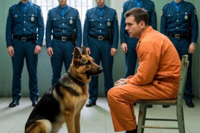 SU ÚLTIMO DESEO ANTES DE SER EJECUTADO FUE VER A SU PERRO, PERO LO QUE SUCEDIÓ LO CAMBIÓ TODO…