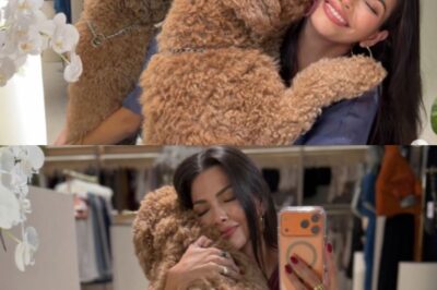 Después de anunciar su divorcio Ana Patricia Gámez sube fotos con su perro y deja un mensaje que dejó a muchos a pensar