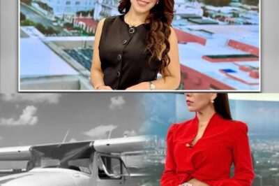 ¡Impactante! Revelan por qué la periodista Débora Estrella iba en la aeronave que cayó del cielo y le costó la vida